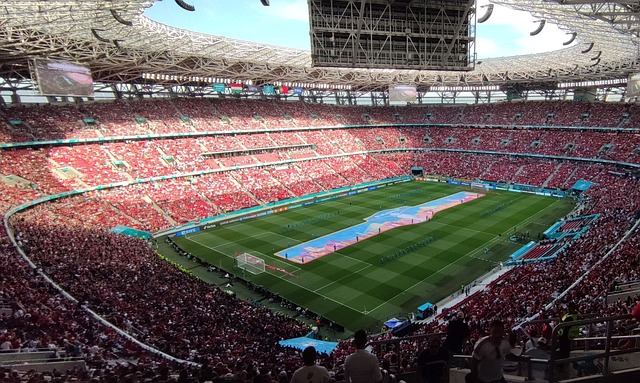 日本媒体的 日本媒体的