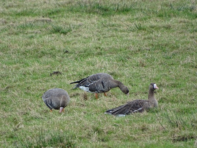 能感受到高 能感受到高